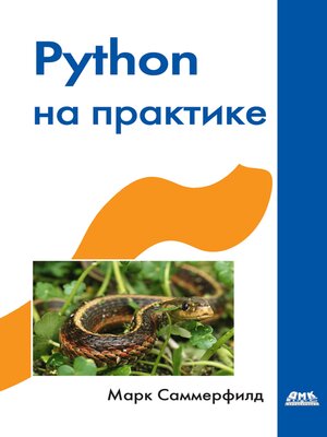 cover image of Python на практике. Создание качественных программ с использованием параллелизма, библиотек и паттернов